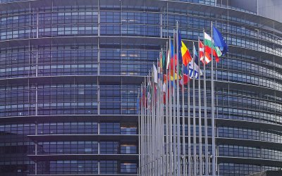 ‘Basic income: Arguments, evidence, prospects’ – a briefing for the European Parliament